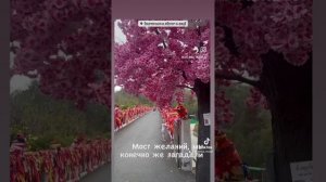 Коротко о Паттайе. 11 дней тура пролетели как один миг. 🩷 мы ставим like Паттайе🩷