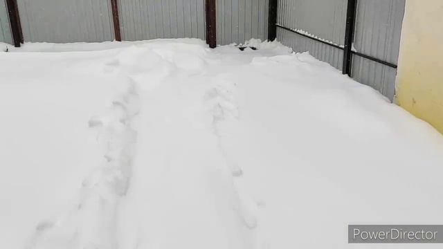 Что купила 🛒 Такое Я ещё не ВИДЕЛА 🙈 КАК живут в деревне смотреть онлайн