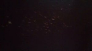 Разобранный диван с клопами. Странные кресты на шторах [БУДНИ ДЕЗИНФЕКТОРА #6]