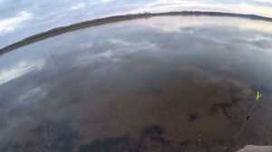 Как поймать налима весной. Ловля налима