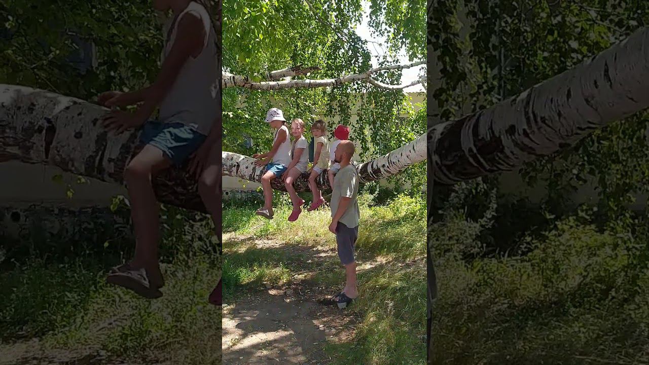 на берёзе! смотреть онлайн