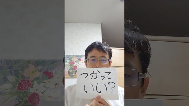 Могу ли я его использовать?＝tsukatte Ii？＝つかって いい？