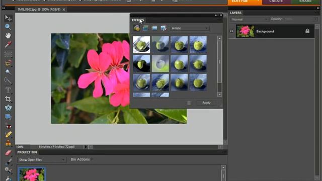 Photoshop Elements 9.0 Tutorial The Panel Bin Adobe Training Lesson 3.3 смотреть онлайн