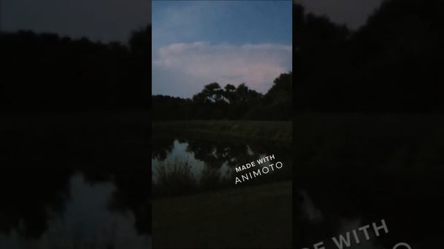 "The Light" by Charles Bennett смотреть онлайн