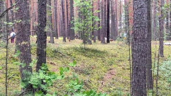 3 сезона с Рейсер Пантера 300 (Racer Panthe RC300-GY8X).