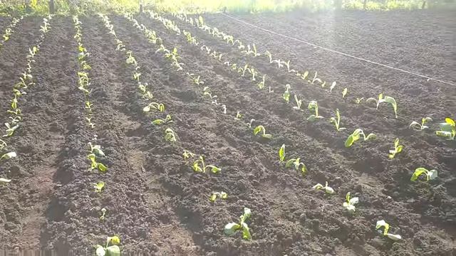 21 мая 2021 г..webm смотреть онлайн