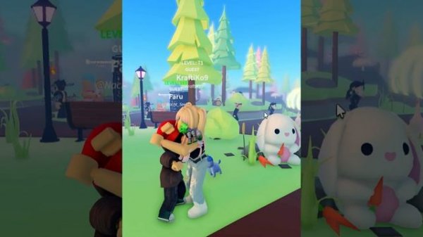 Hello everyone - hello nice to see you