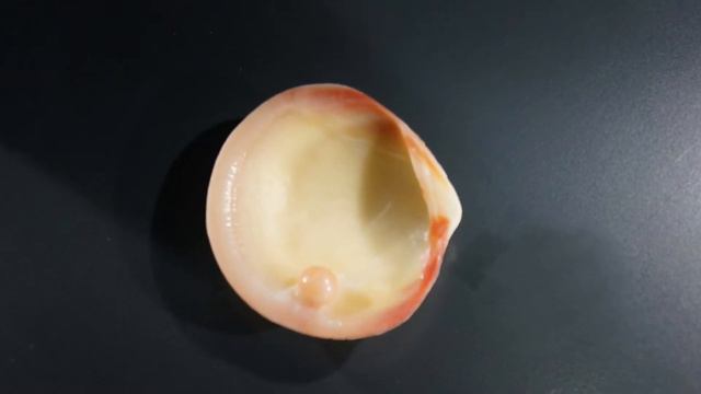 2D. Жемчуг - дитя перламутра. Жемчуг в ювелирных шедеврах. Фильм - 1. смотреть онлайн