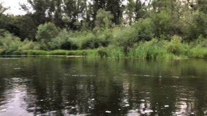Сплав по реке Буй 11.07.20