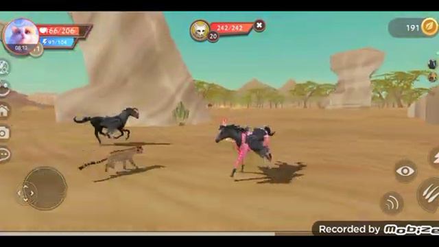 играю в вайлд крафт карта пустыня смотреть онлайн