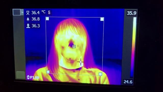 Применение тепловизора FLIR для выявление людей с повышенной температурой /Тепловизор - КОРОНАВИРУ смотреть онлайн