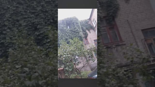 Гуляю☘️ смотреть онлайн