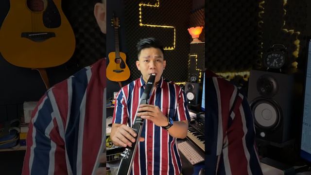 Promises - Agnez Mo Saxophone Electric Cover by Gerson Laude смотреть онлайн
