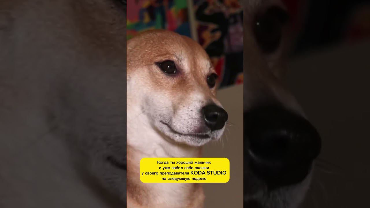 кто здесь хороший мальчик? смотреть онлайн