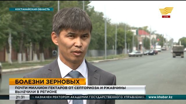 Почти миллион гектаров от септориоза и ржавчины вылечили в Костанайской области смотреть онлайн