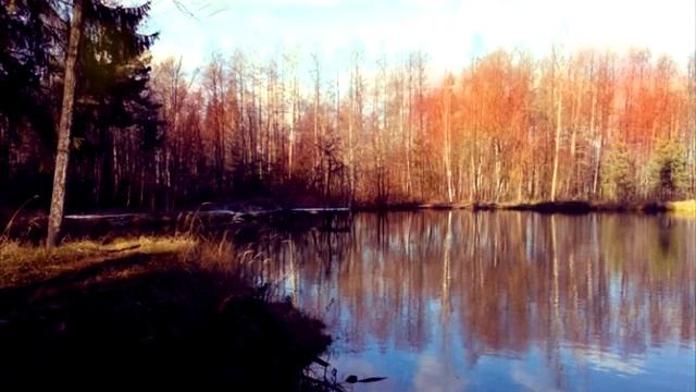 Конкурсная работа Вусатого Дмитрия и Кальченко Валентины МЕДЬ 2013 смотреть онлайн