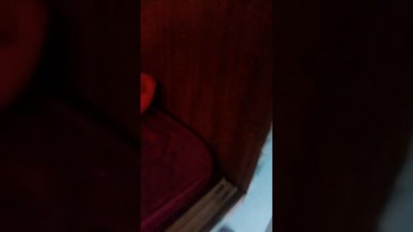 Мой самодельный питомник игрушечный