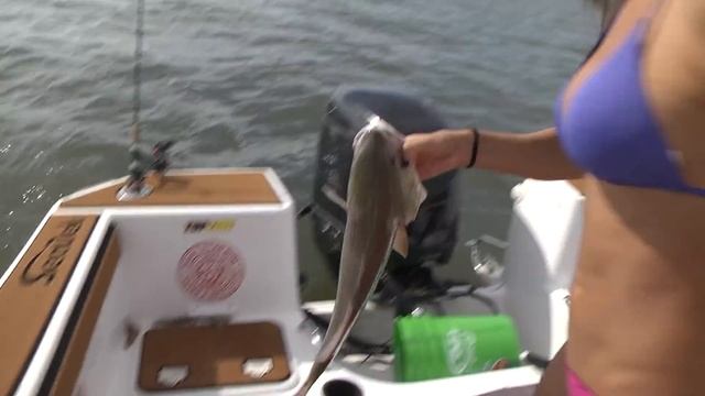 REDFISH limit for the fish fry! смотреть онлайн