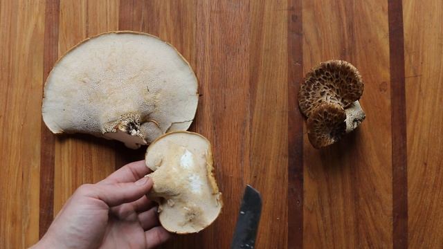 How To Tell If A Pheasant Back Is Good To Eat смотреть онлайн