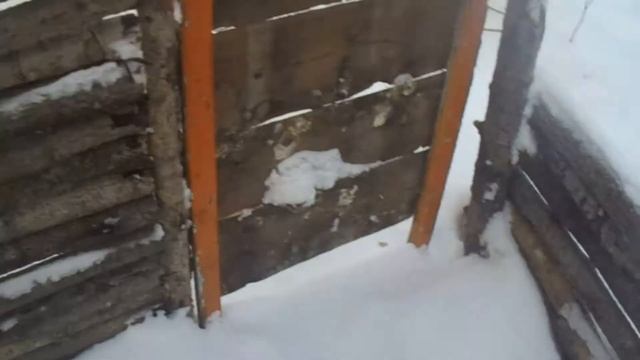 Строим домик в лесу. Ставлю 2 окно! House in the woods. смотреть онлайн