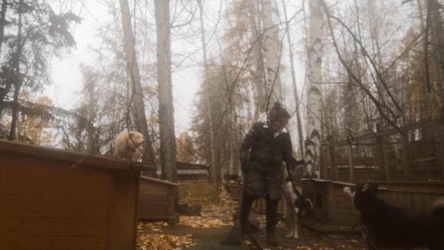 Один день из жизни приюта "Хатико", осень 2023 @ZinaHatiko смотреть онлайн