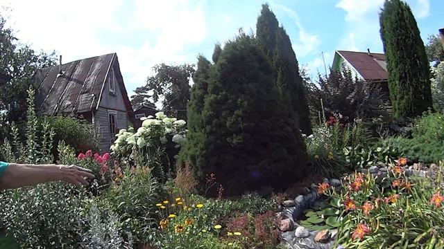 Анонс нового видео смотреть онлайн