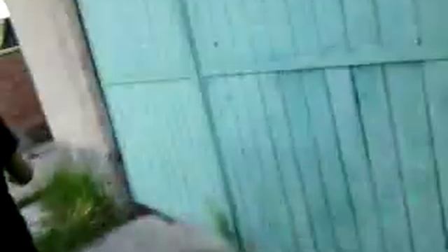 самые прикольные ребята планеты смотреть онлайн