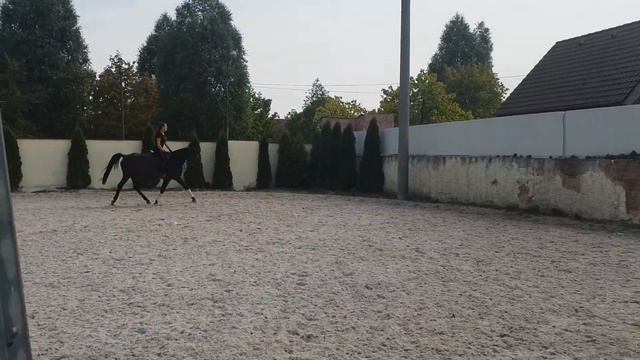 Jessica 4yo mare смотреть онлайн