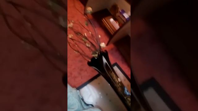 Вредная собака смотреть онлайн