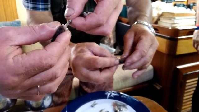 Как есть тугунка. Яхта "Елизавета" в Ярцево смотреть онлайн