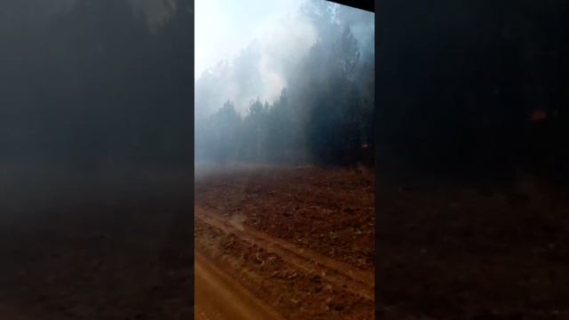 Черемховский район смотреть онлайн