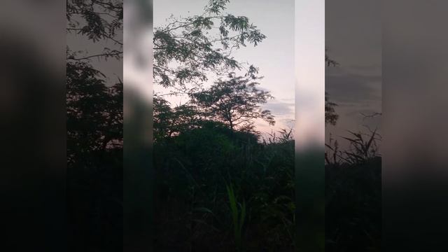 Как эстонцы ранятся по камышам смотреть онлайн