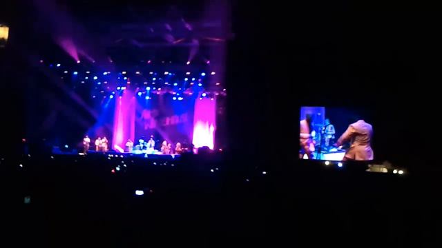 Amy Winehouse Disaster - Belgrade 18.06.2011