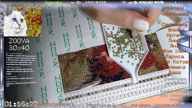 Алмазная мозаика. Блинная алмазка ZOOYA ?? ОНЛАЙН смотреть онлайн