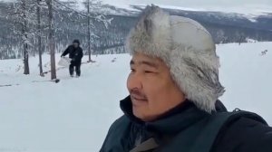 Как подзывают оленей?
