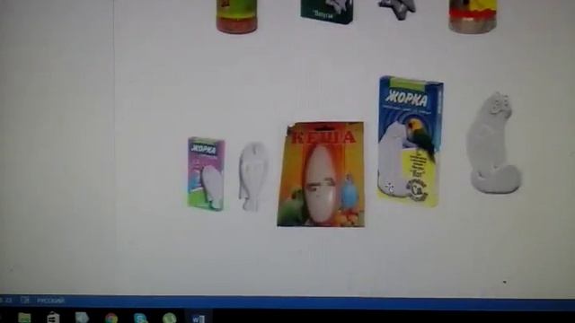 Какие фрукты можно попугаю смотреть онлайн