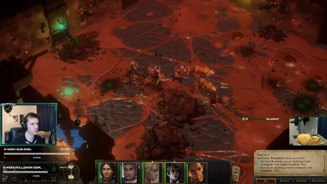 Beneath the Stolen lands DLC blind playthrough, many pets build! (Pathfinder: Kingmaker, raw) смотреть онлайн