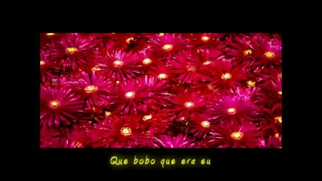 MARACAS-BAHIA-BRASIL - DIA DAS MAES "DESCULPA MINHA MÃE" смотреть онлайн