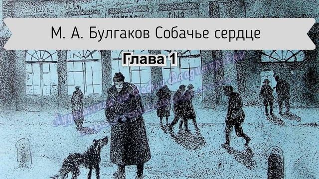 Булгаков М.А. Собачье сердце Глава 1 смотреть онлайн