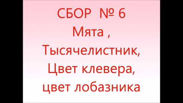 КАК ЛЕЧИТЬ АРИТМИЮ СЕРДЦА ТРАВАМИ смотреть онлайн