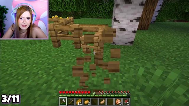 DOMESTIQUEI TODOS OS GATOS DO MINECRAFT NUM SÓ VÍDEO смотреть онлайн