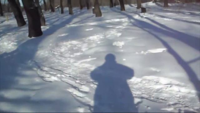 Дрессировка собаки( Найда )