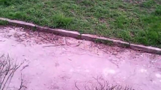 kodo quadricottero con camera 0,3 mp смотреть онлайн