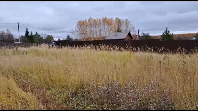 УРА. ЗАБОР СТОИТ ?!!!!!! смотреть онлайн