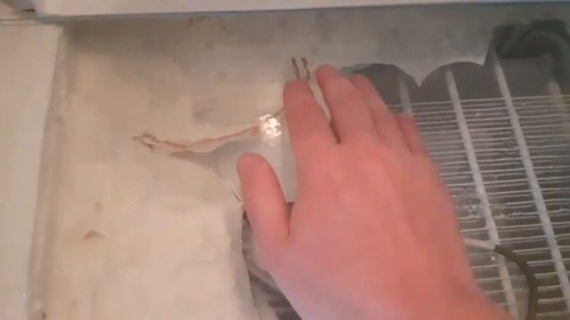 Просверлить отверстия в полке между камерами в холодильнике? смотреть онлайн