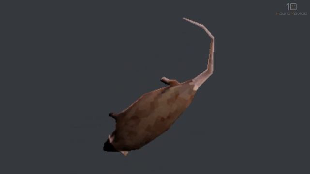 High Quality Spinning Rat 10 Hours смотреть онлайн