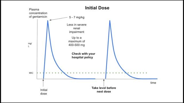 Why gentamicin levels are taken - pharmacokinetics, dosing, monitoring, creatinine clearance смотреть онлайн