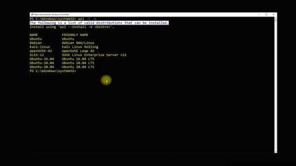 How to Install Debian on WSL2 Windows 10 | Installing Debian on Windows Subsystem for Linux 2
