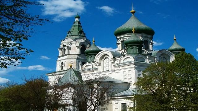 музей природы в Житомире смотреть онлайн