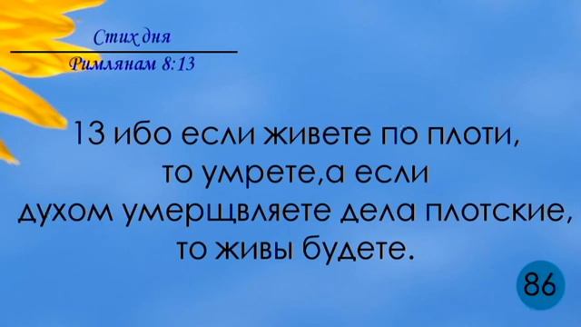Тефиллин. Римлянам 8:13. Повторение стихов 100 раз смотреть онлайн